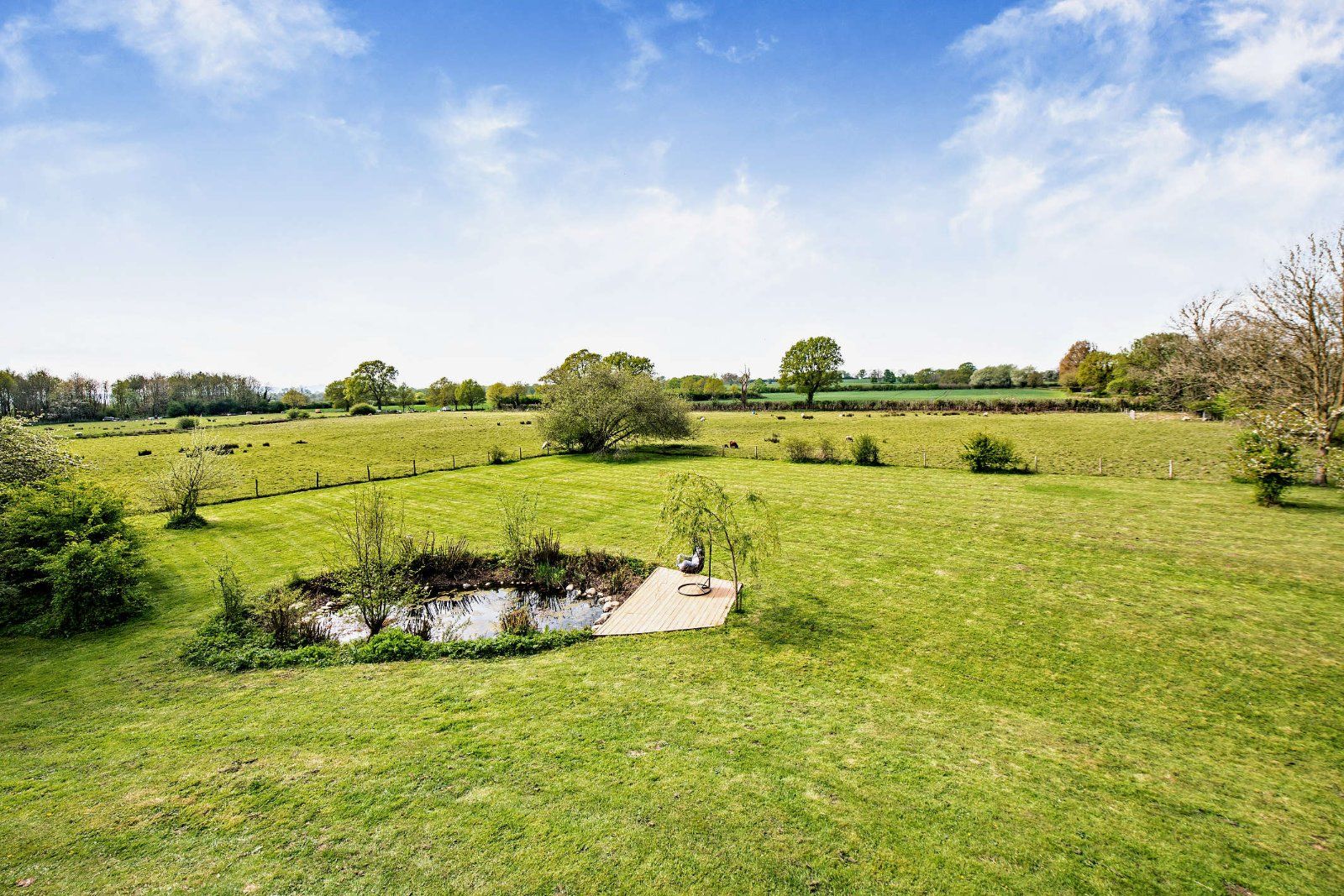 Garden and View