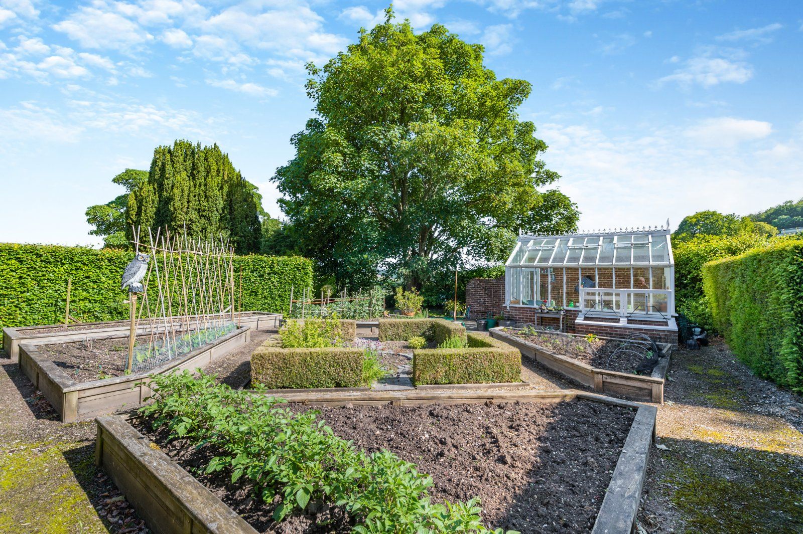 Vegetable Garden