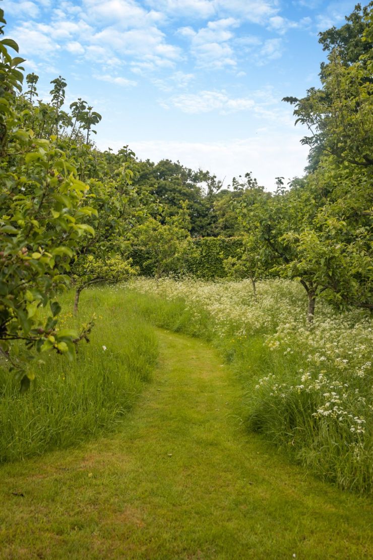 Grounds