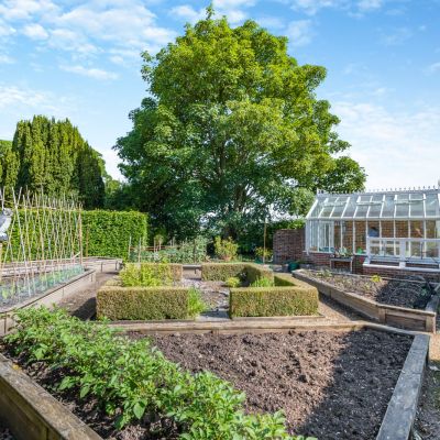 Vegetable Garden