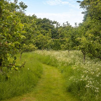 Grounds