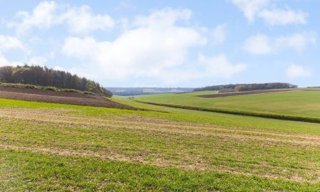 Copt Hall Farm