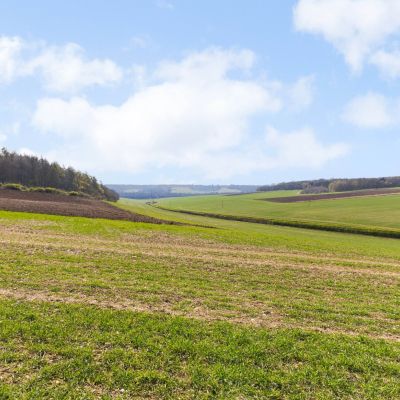Copt Hall Farm