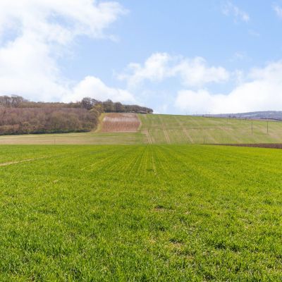 Copt Hall Farm