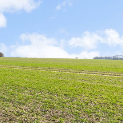Copt Hall Farm