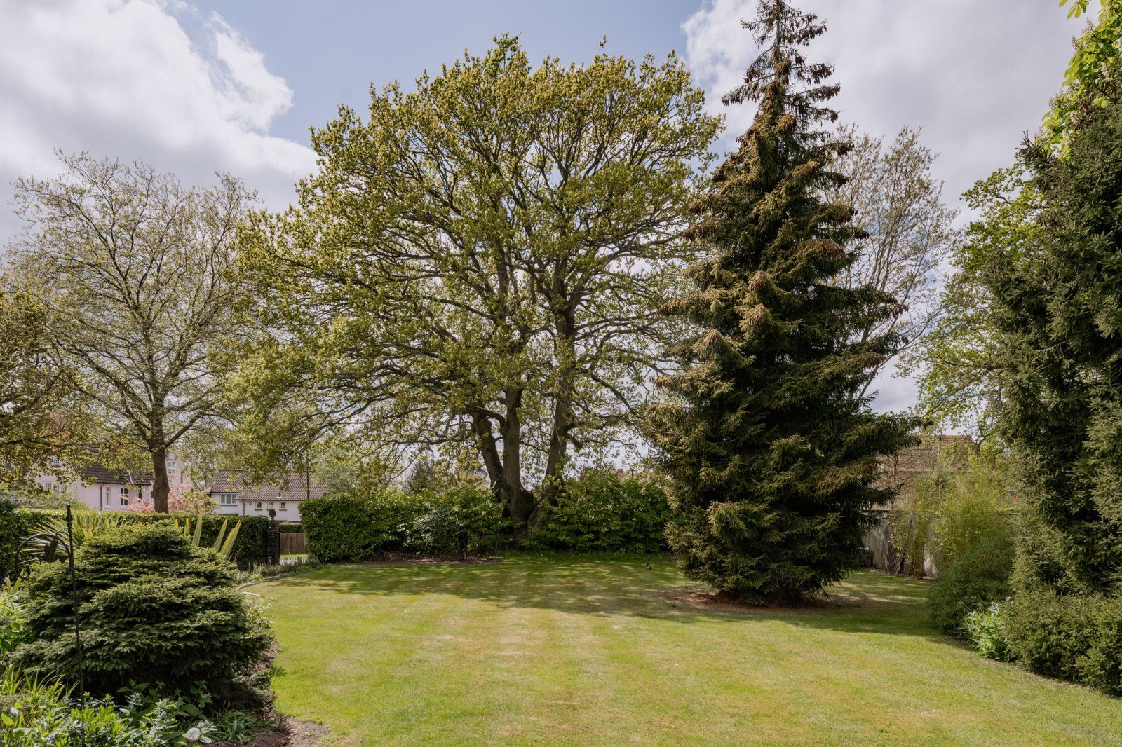 Front Lawn