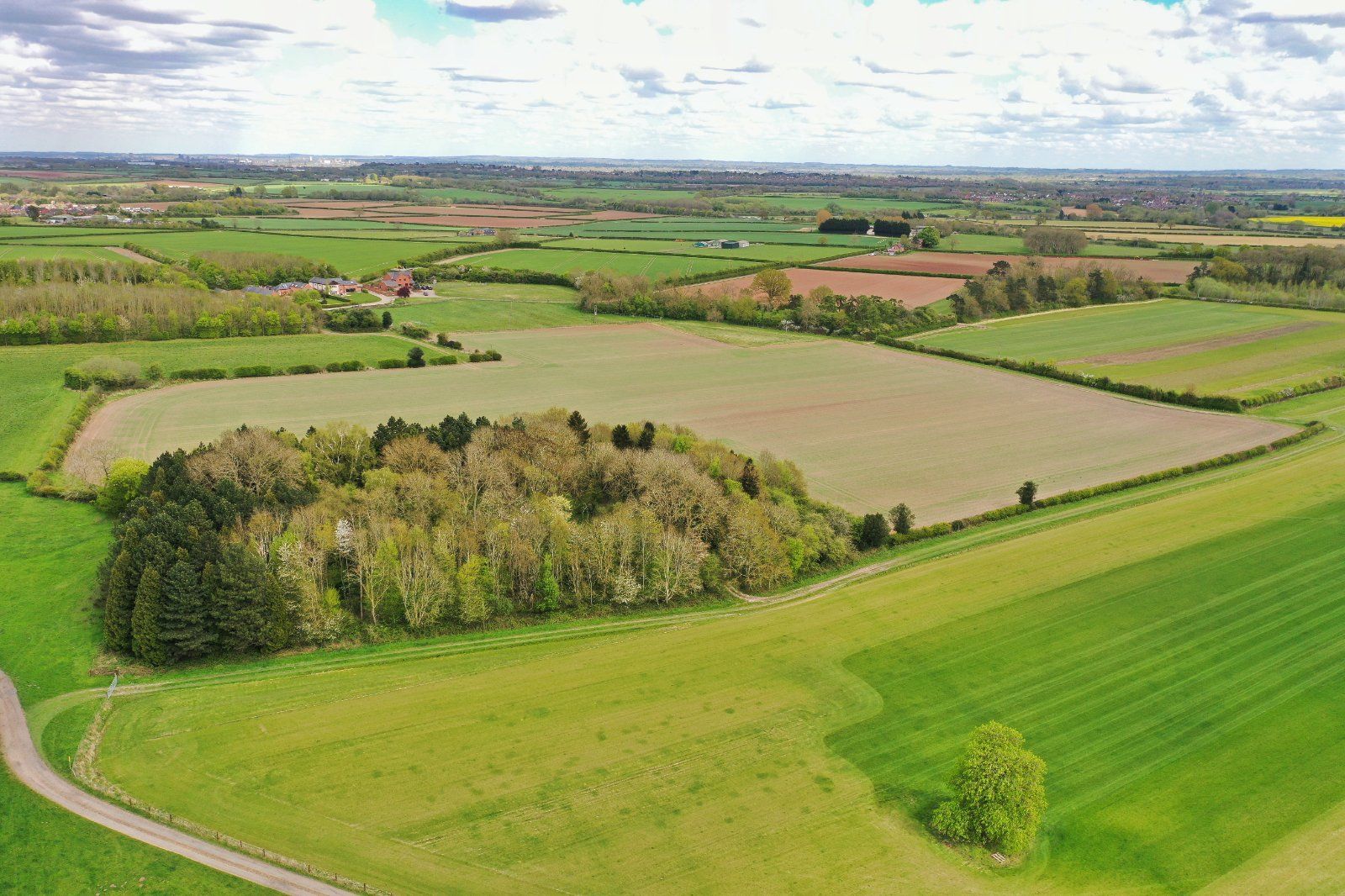 Arable Land