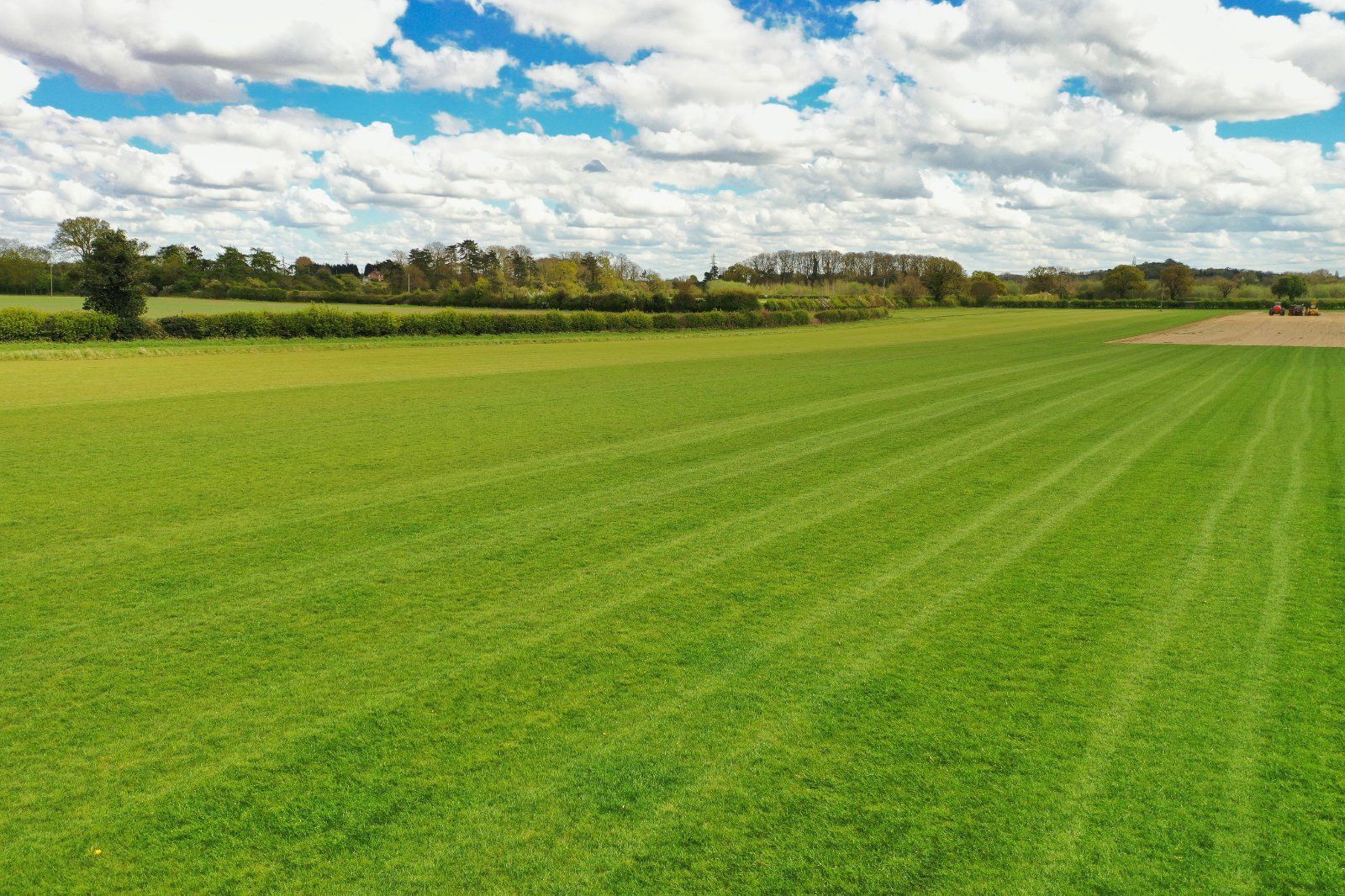 Turf