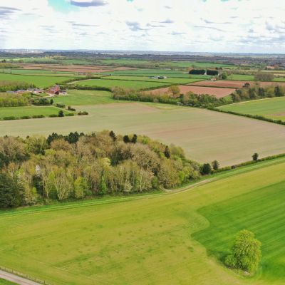 Arable Land