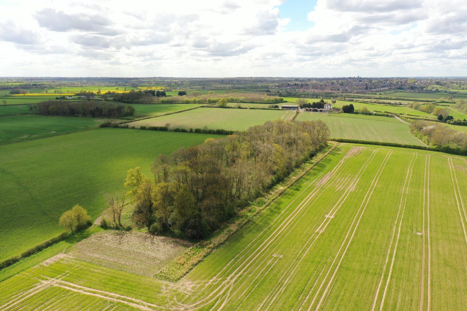 Arable Land