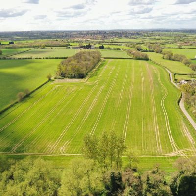 Arable Land