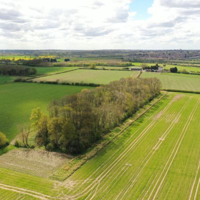 Arable Land