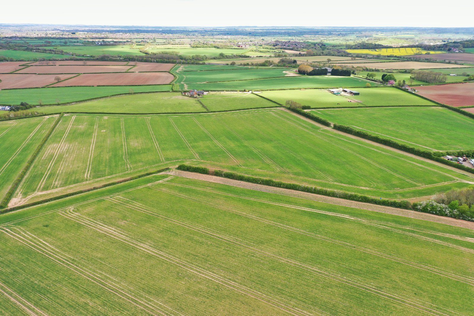 Arable Land