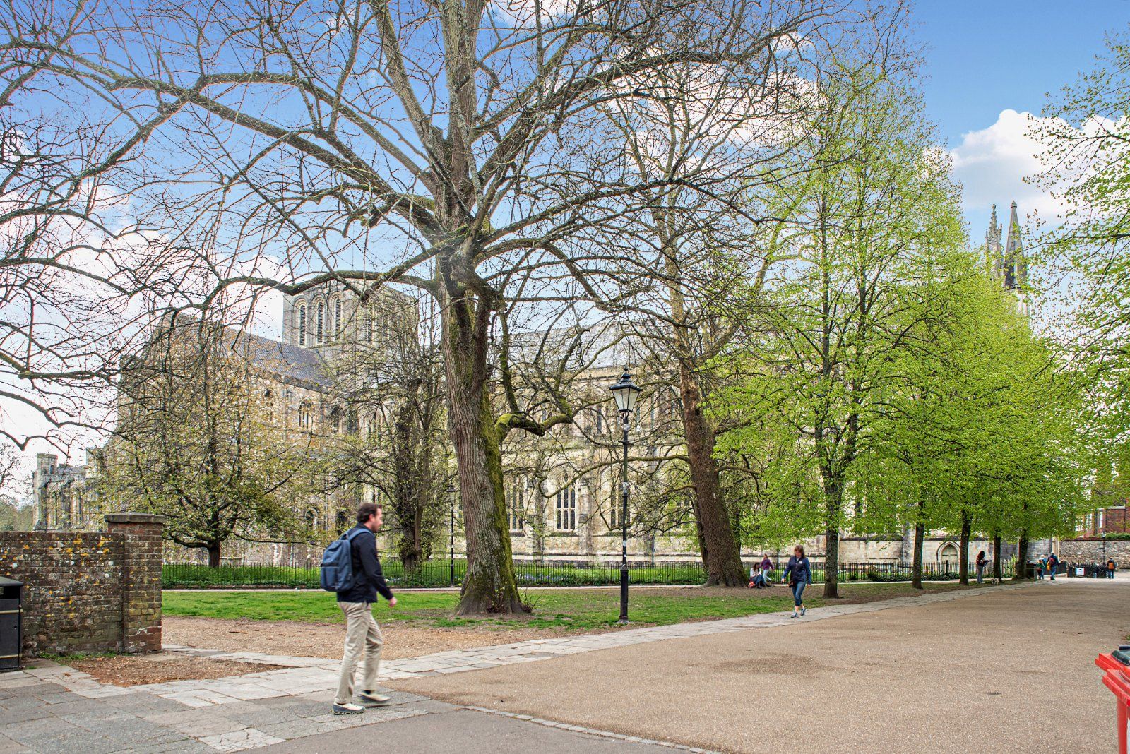 Cathedral Grounds