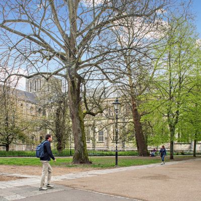 Cathedral Grounds