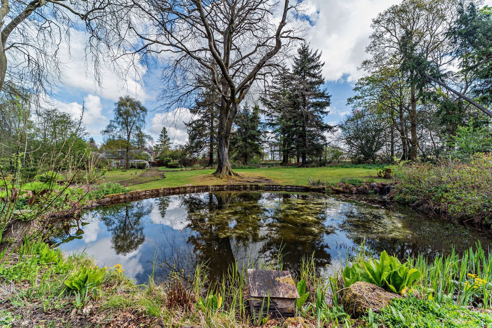 Pond