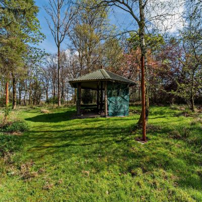 Fire Pit Hut