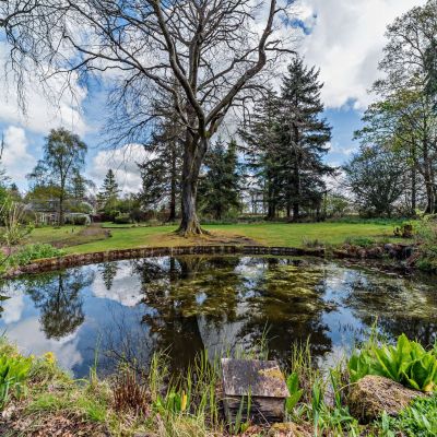 Pond