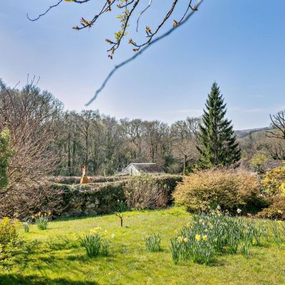 Garden/Views