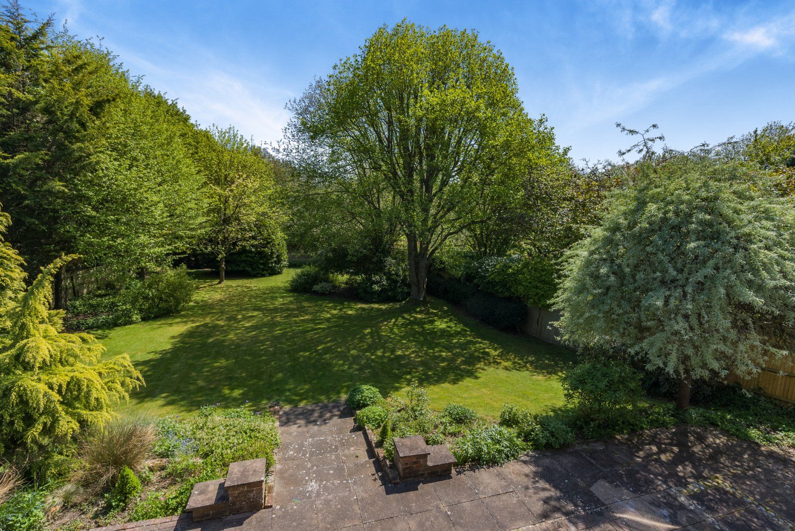 Terrace/Garden