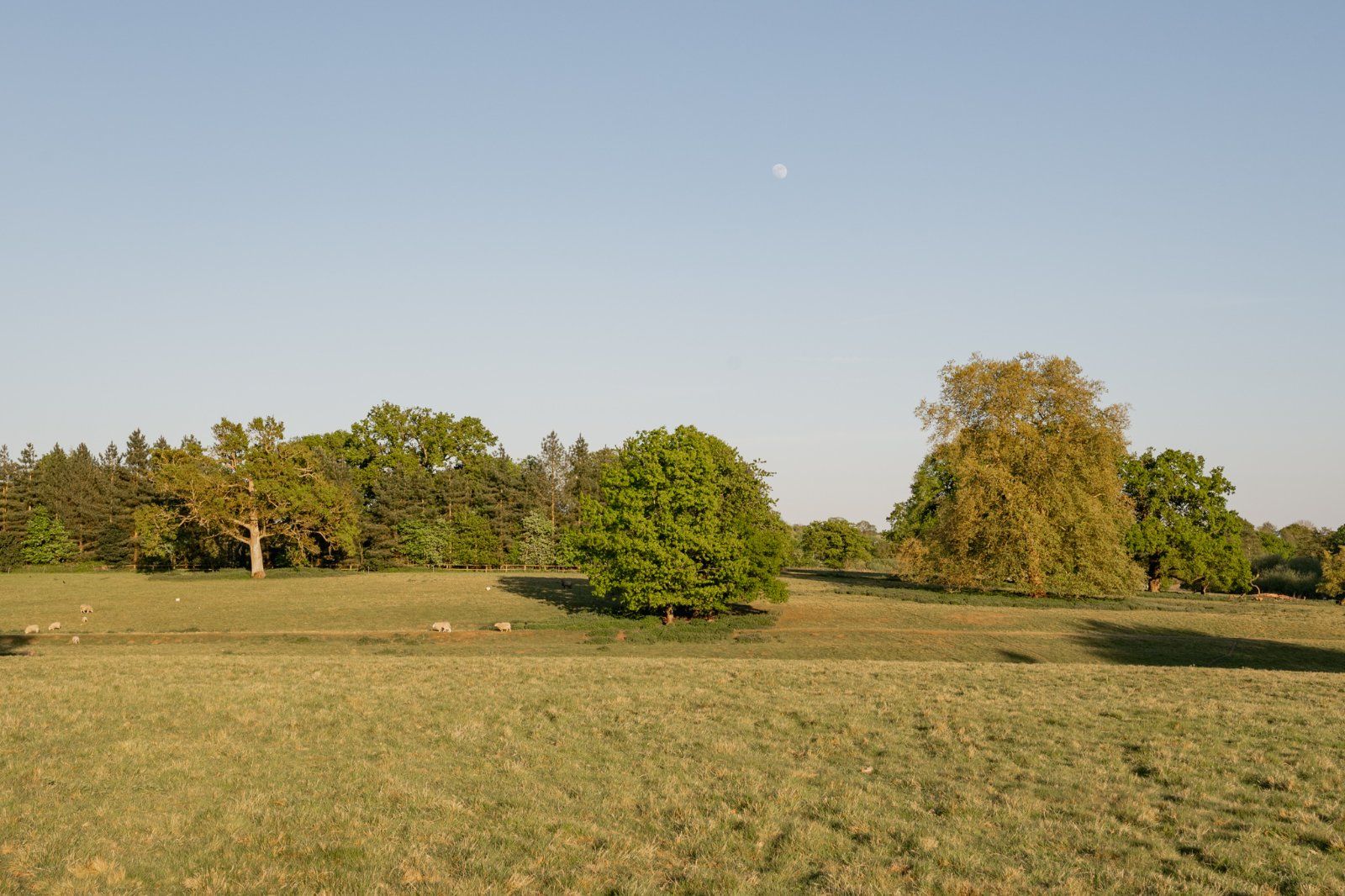Picture No. 35