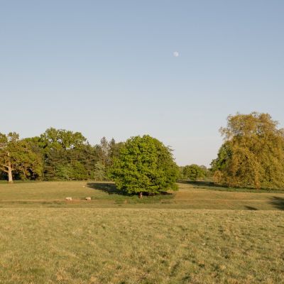 Picture No. 35