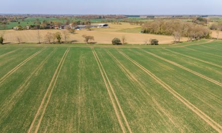 Braintree, Essex