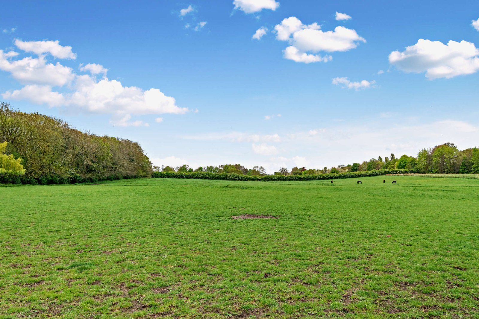 Land