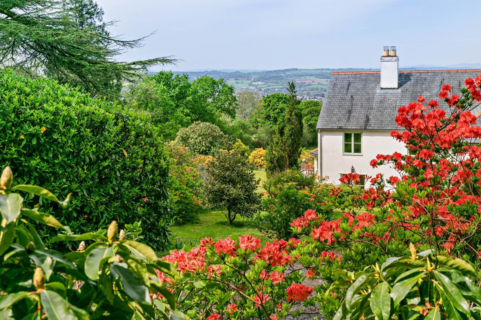 Grounds