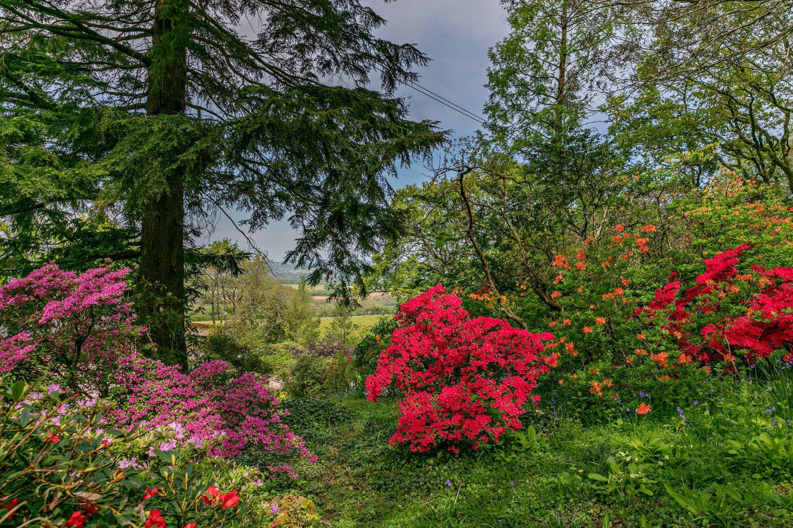 Grounds