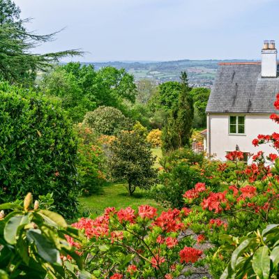 Grounds