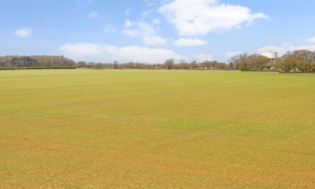 Bishop's Stortford, 