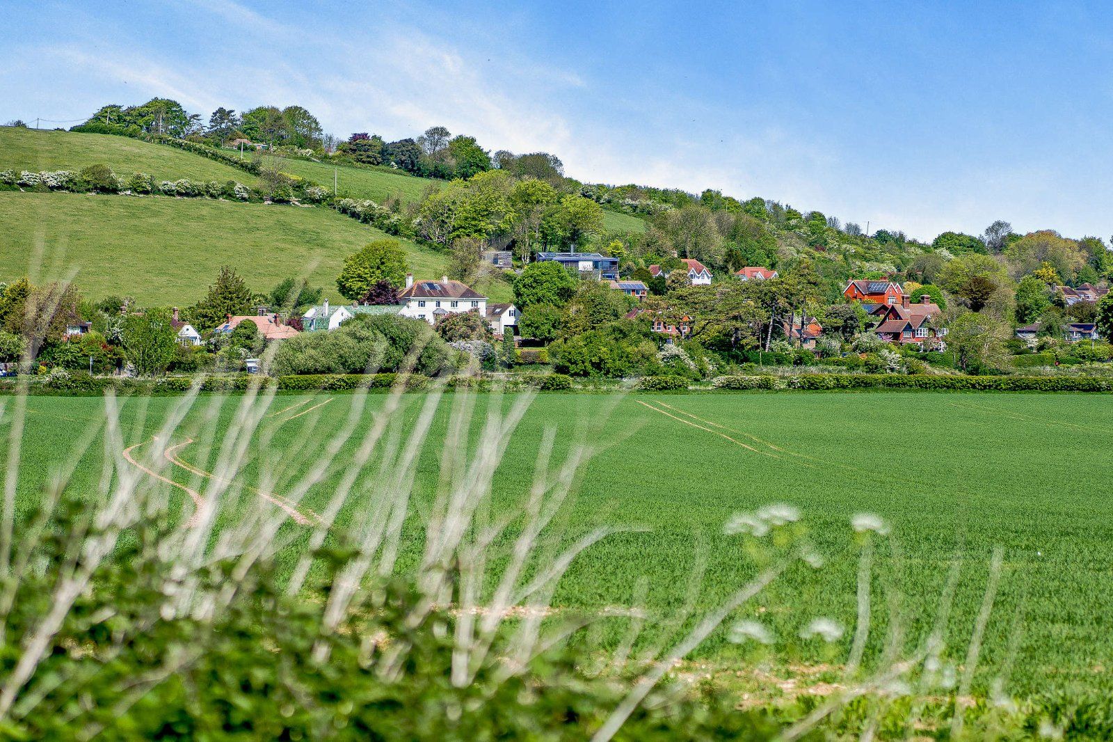 Countryside Surround