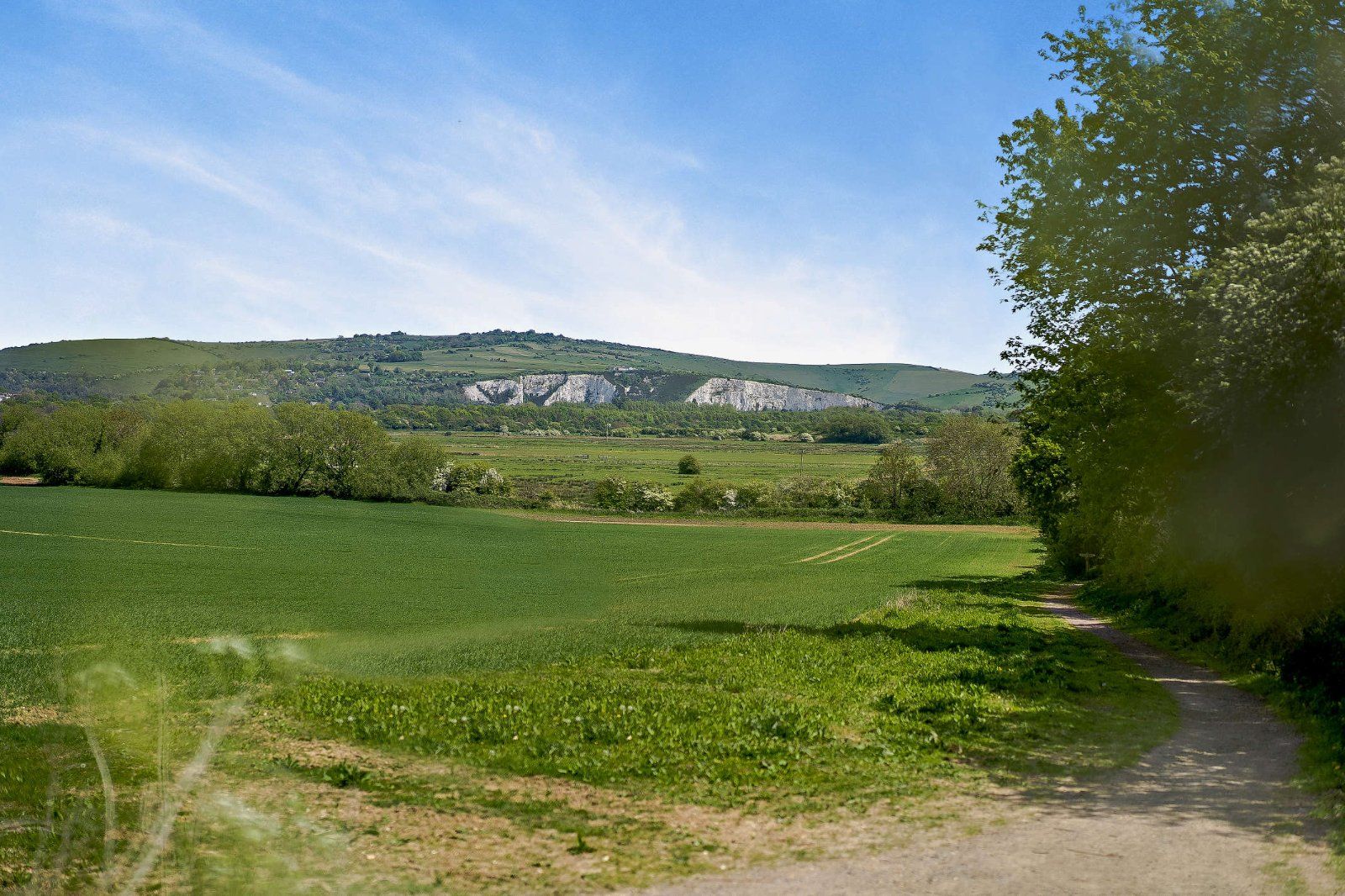 Countryside Surround