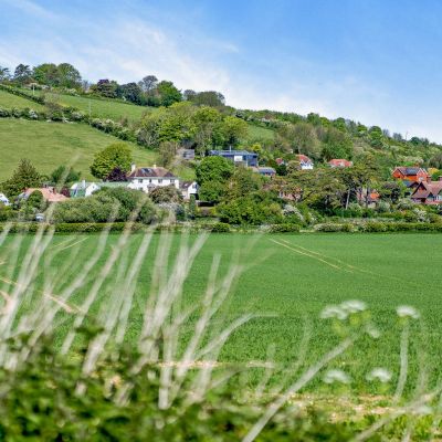 Countryside Surround