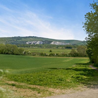 Countryside Surround