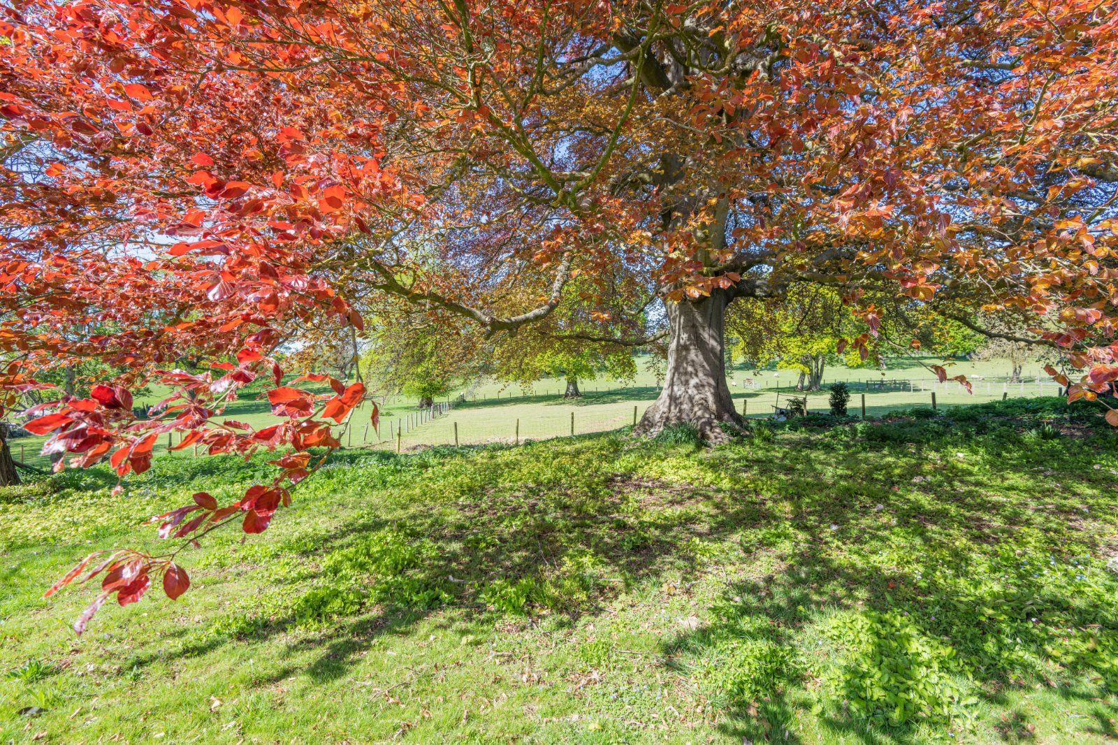 Grounds