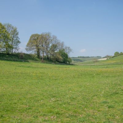 Paddocks