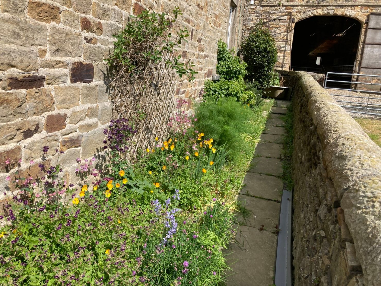 Side Garden