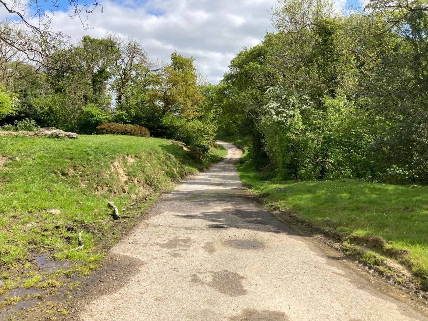 Access Track