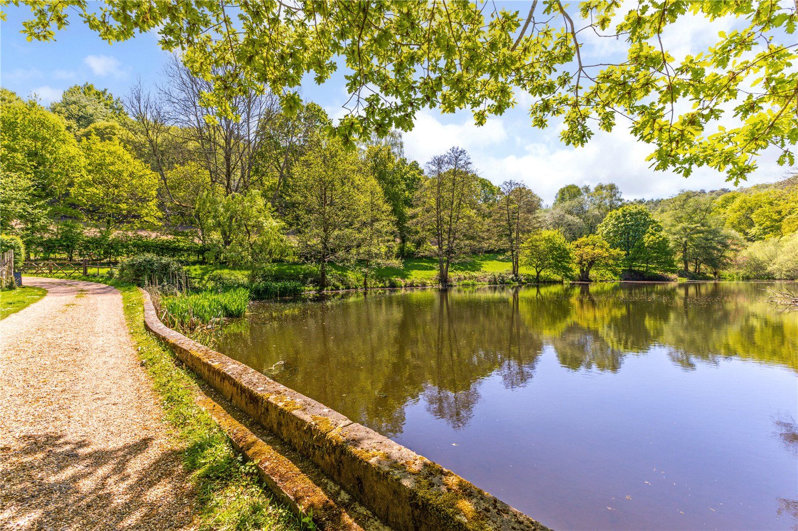 Barford Pond