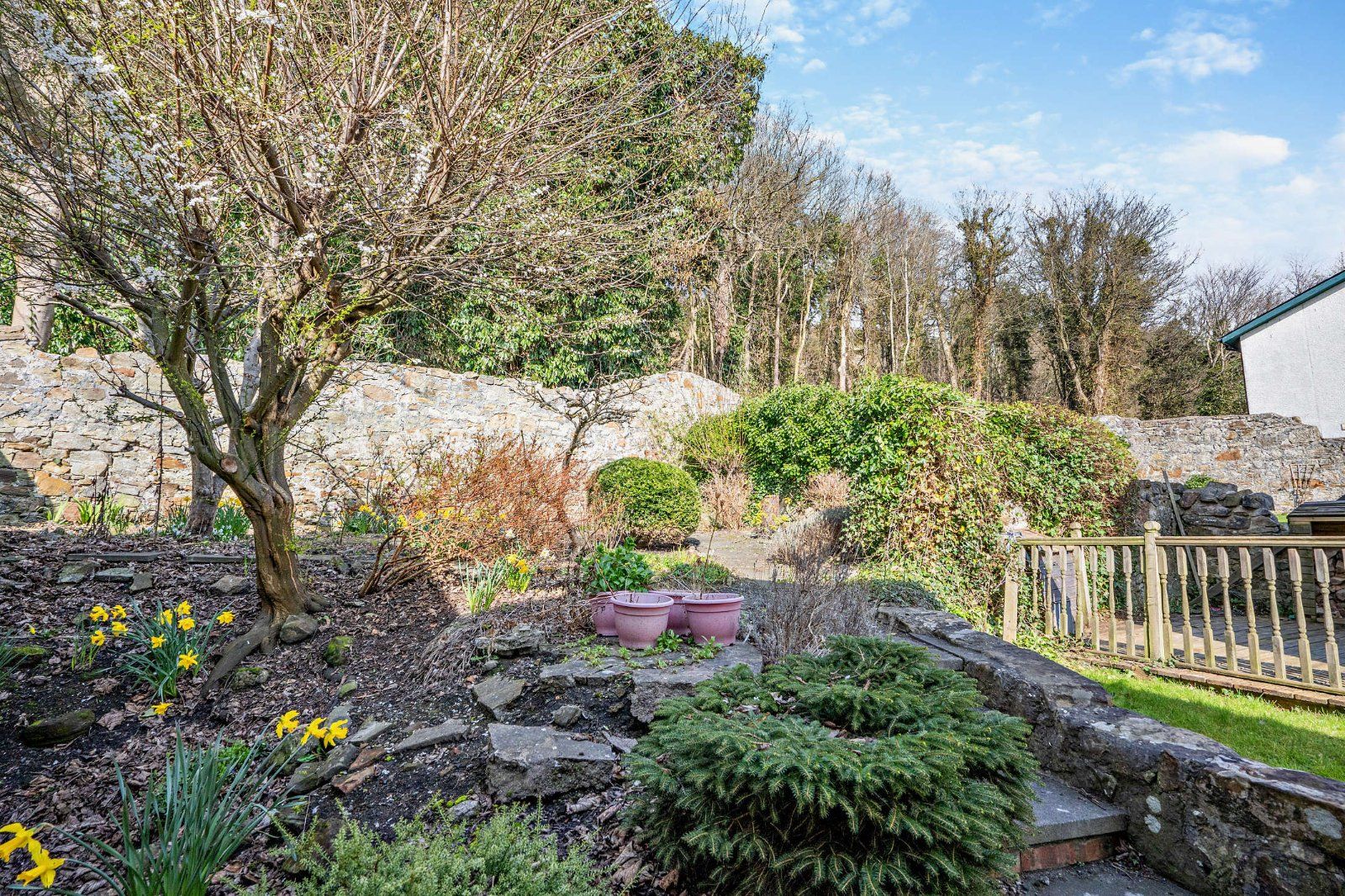 Ample Gardens