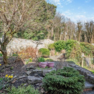 Ample Gardens