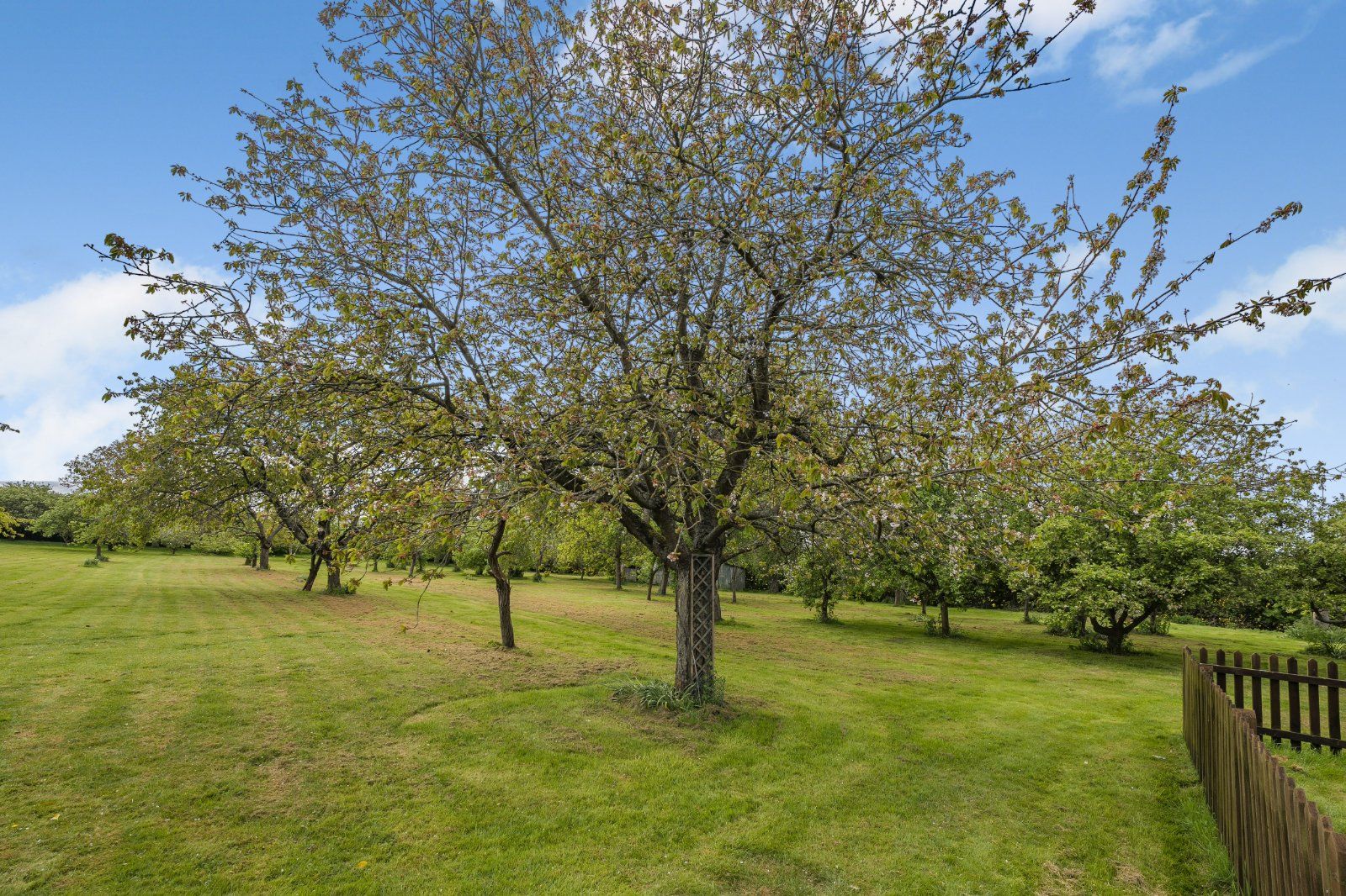 Grounds