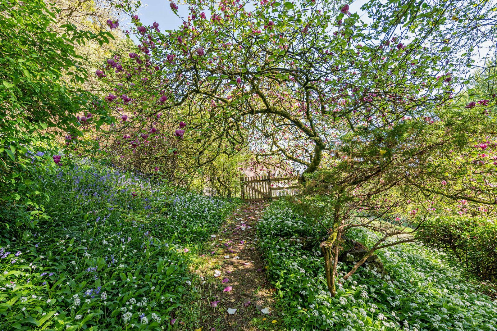 Grounds