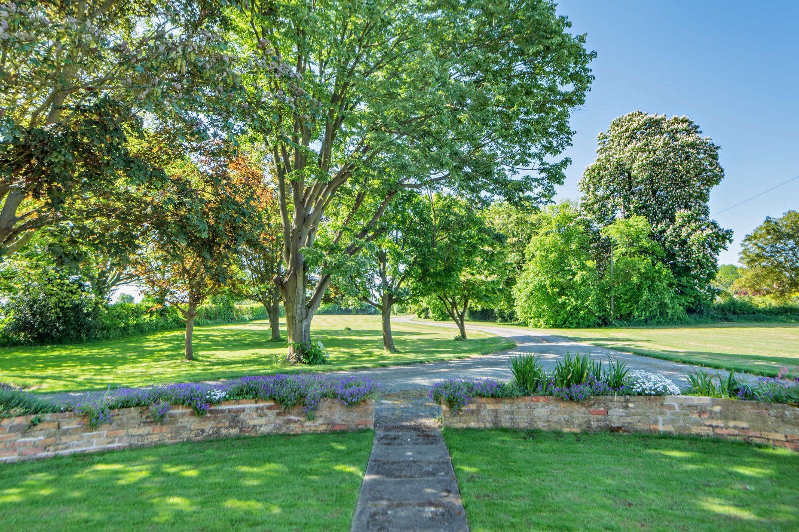 Front Lawn