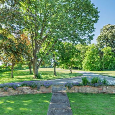 Front Lawn