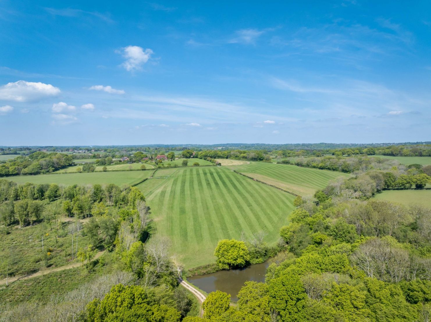 Grassland