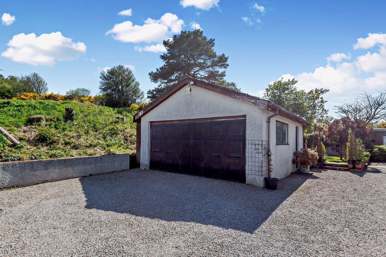 Wyvis View