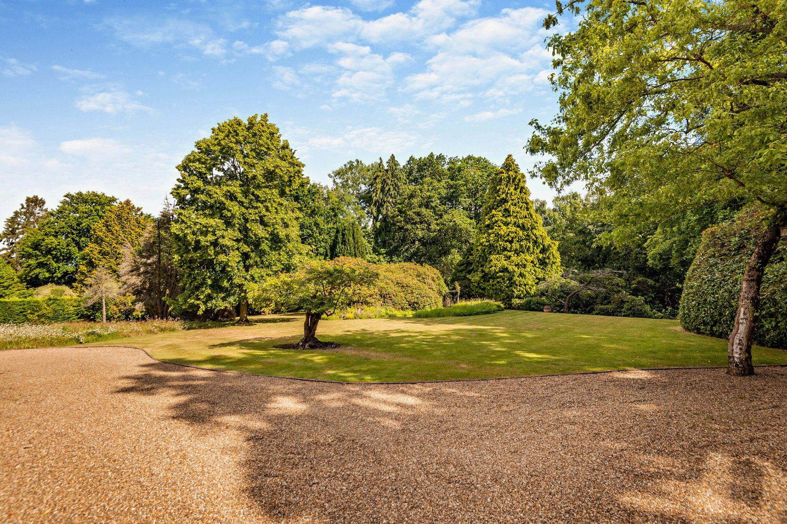 Front Drive & Garden